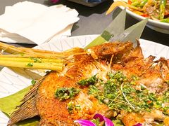 -紫滇源云南生态菜(丹凤街店)