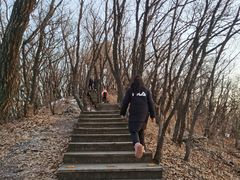 -帽儿山国家森林公园