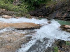 -广州白江湖森林公园