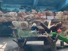 -石家庄市动物园