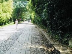 -紫金山天文台