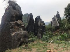 -玉石林风景区