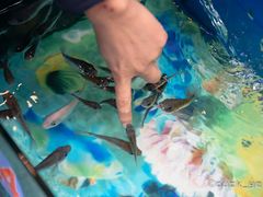 -泰国鱼疗足疗馆