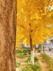 -陪我玩图书馆·烘焙坊·综合亲子馆