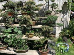 -黄海国家森林公园