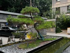 -庐灶江南·江南菜·四合院Bistro(东直门雍和宫·原华侨宾馆店)