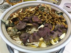 -爱膳菌锅锅(阳南店)