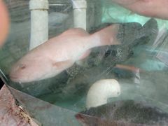-湛江渔港·大排档(乐园路总店)