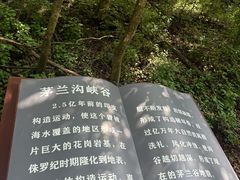 -茅兰沟国家森林公园