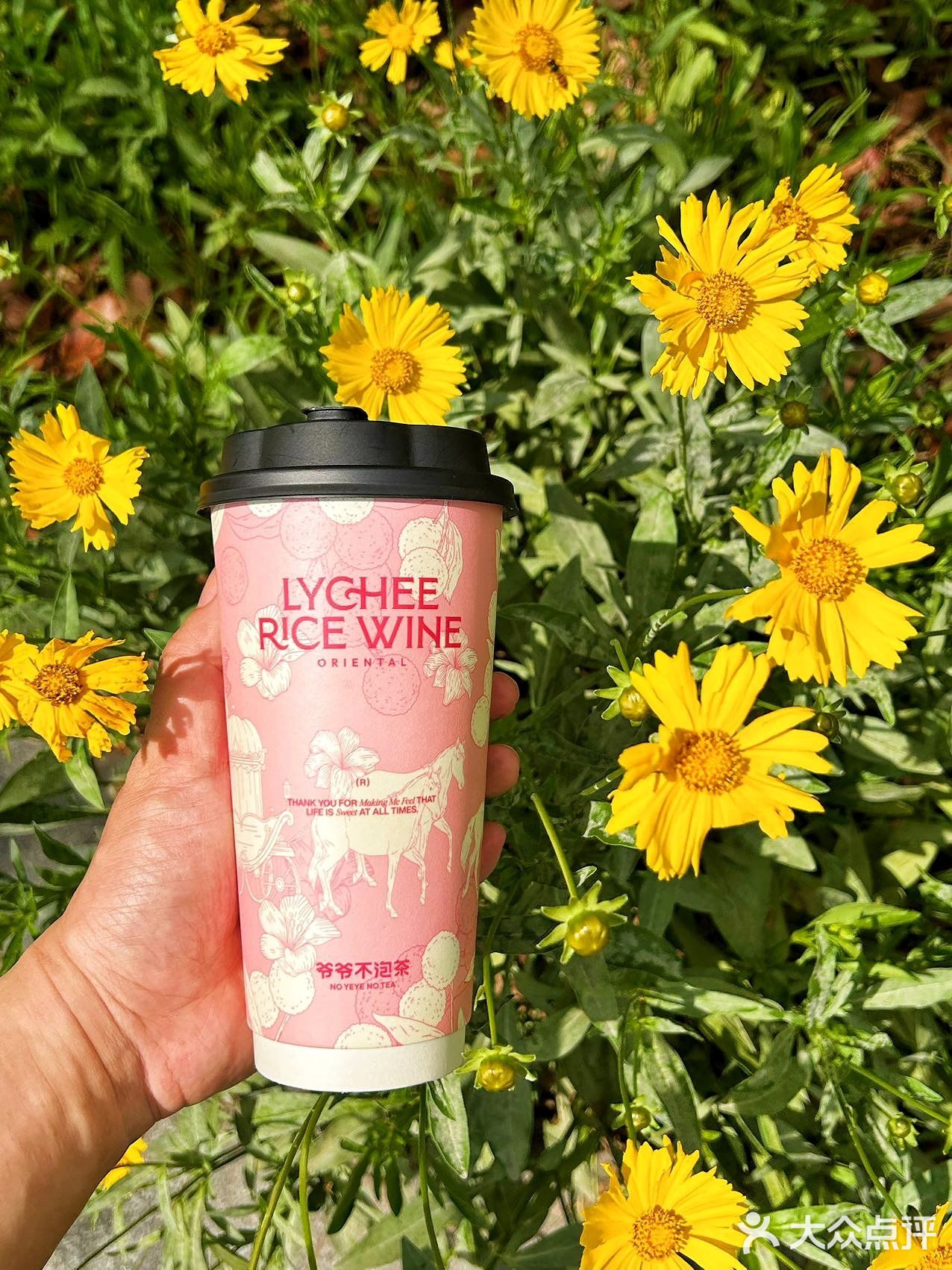 一城一花一杯茶🥤！