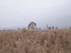 -良渚古城遗址公园