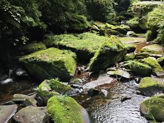 -碧峰峡风景区