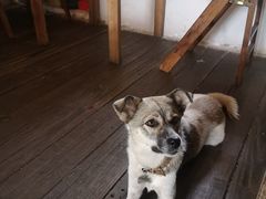 -春风十里咖啡馆