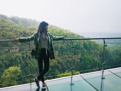 -川西竹海景区
