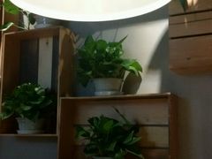 -比格比萨自助(密云店)