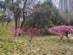 -元大都城垣遗址公园