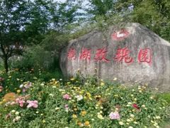 -鹅湖玫瑰文化园