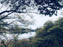 -上海市保健医疗中心