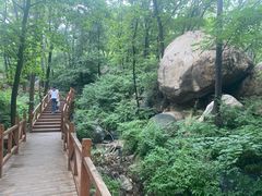 -大岭沟猕猴桃谷风景区