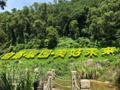 -深圳国际园林花卉博览园