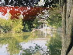 -小洲村