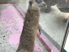 -万达广场(金堂店)
