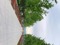 -野鸭湖国家湿地公园