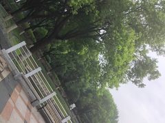 -后襄河公园