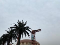 -中华恐龙园