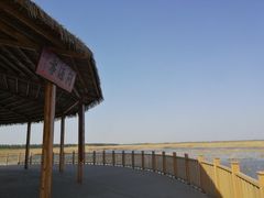 -白洋淀景区