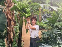 -呀路古热带植物园