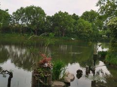 -新江湾城公园