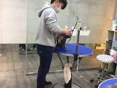 -PETKIT小佩宠物(古北店)