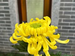 -广州文化公园