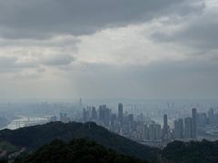 -大金鹰园