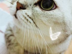 -佳雯宠物医院(金华南路分院)