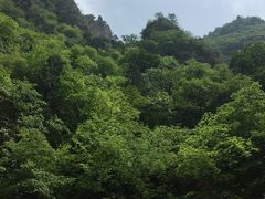 -北京上方山国家森林公园