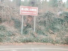 -青龙山生态文化旅游区(慈云寺)