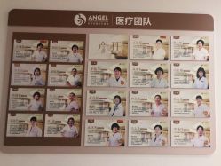 -北京安琪