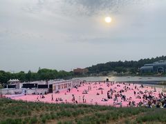 -大塘金香草谷