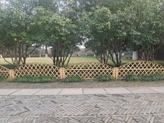 -水绘园