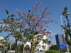-福州大学(旗山校区)