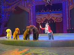 -珠海横琴长隆《卡卡虎奇遇记》