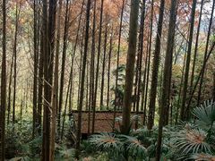 -凤栖山