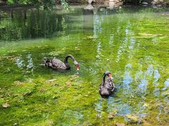 -北京麋鹿生态实验中心