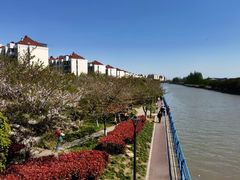 -高东镇樱花园