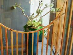 -村上一屋(望京店)