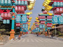 -中华郡文化旅游景区