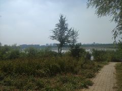 -绿堤公园