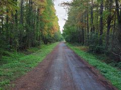 -上海海湾国家森林公园